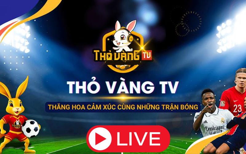 Thỏ Vàng TV