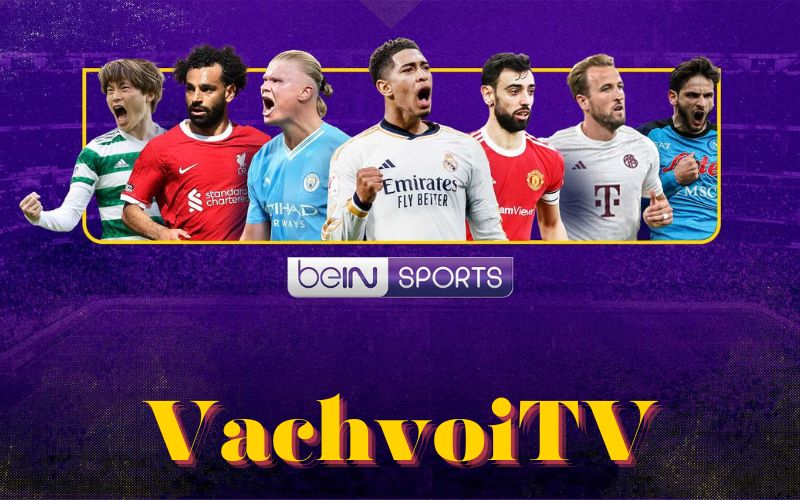 VachvoiTV